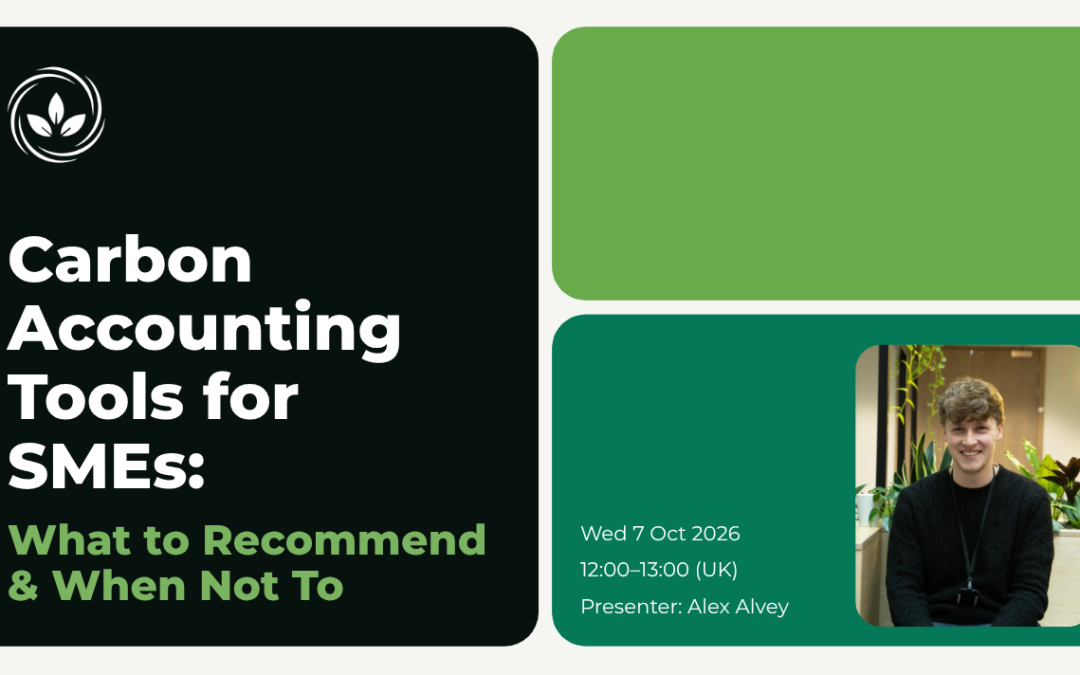 Carbon Accounting Tools for SMEs: What to Recommend (and When Not To)